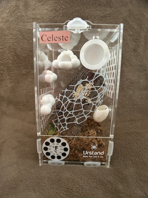 Custom Enclosures